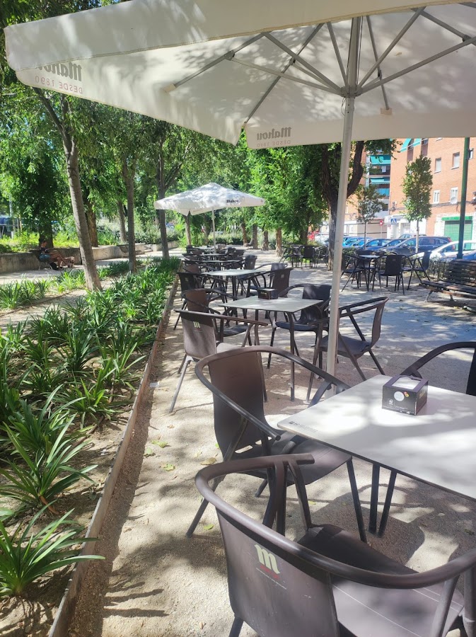 Bar Mota