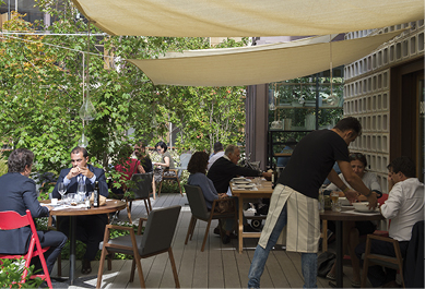 Bosco de Lobos Madrid