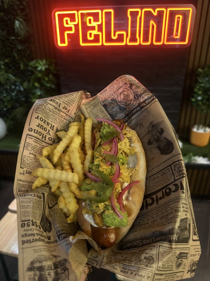 Felino
