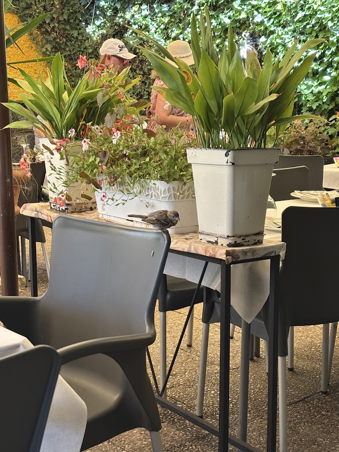 La Cabaña de Patones